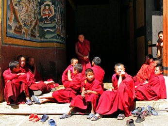 Image 452824901