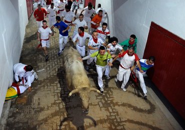 Image 452837960