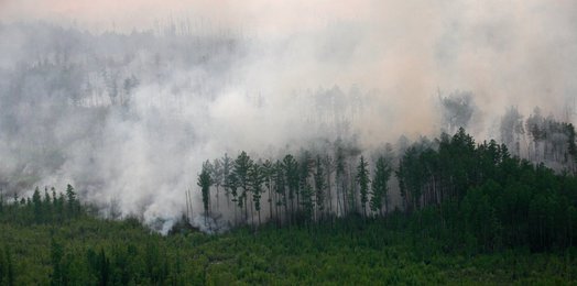Image 452966285