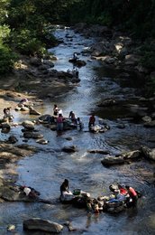 Image 453061036