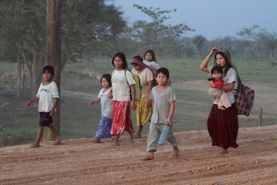 Image 453262152