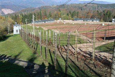 Image 453314123