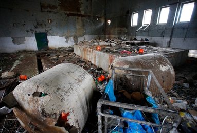 Image 453388828