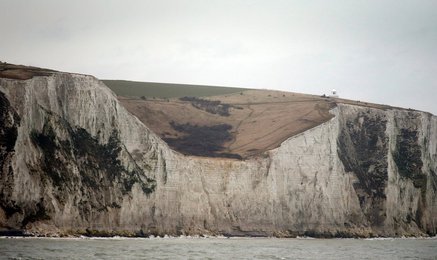 Image 453926277