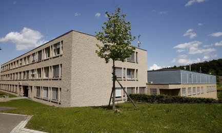 Image 453948661