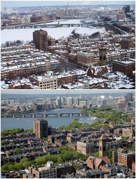 Image 453948983