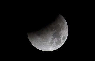Image 453950809