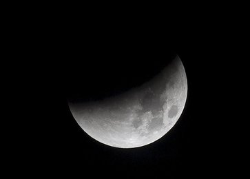 Image 453950824