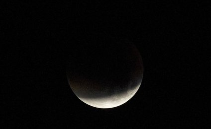 Image 453950892