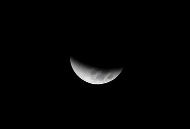 Image 453950908