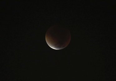 Image 453950919