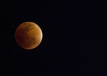 Image 453950966
