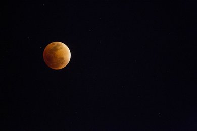 Image 453950980