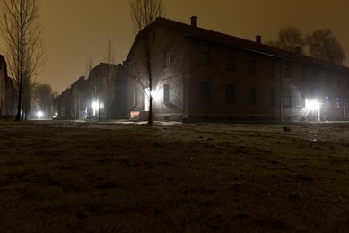 Image 453955848