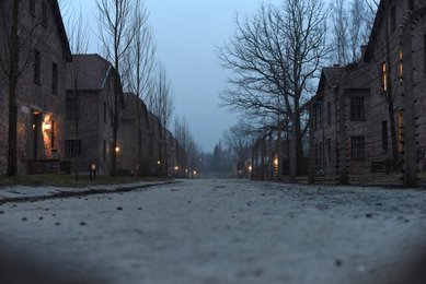 Image 453955865
