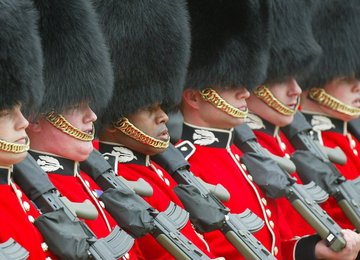 Image 454166039