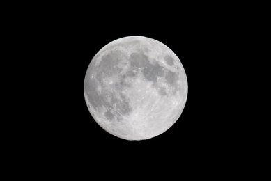 Image 454191999