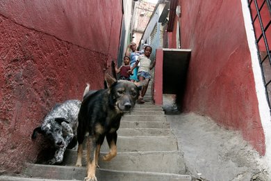 Image 454227745
