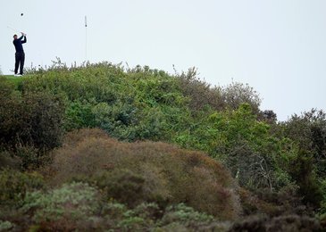 Image 454281673