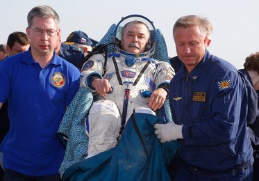 Image 454297825