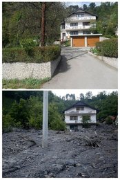 Image 454297992
