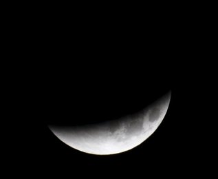 Image 454309829