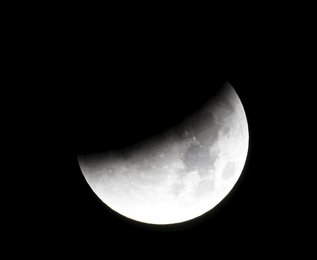 Image 454309837