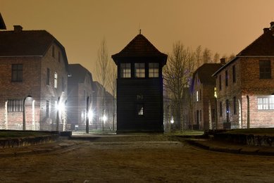 Image 454313271