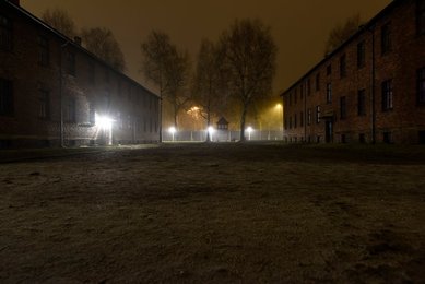 Image 454313313