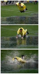 Image 454383410