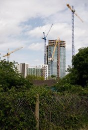 Image 454390180