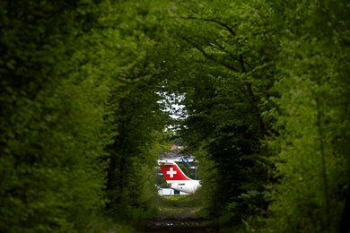 Image 454404863