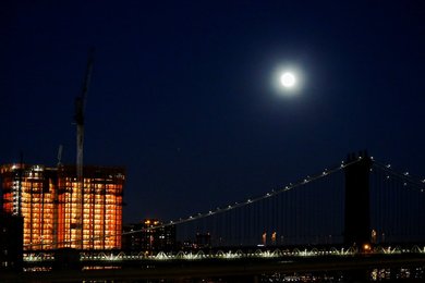 Image 454411619