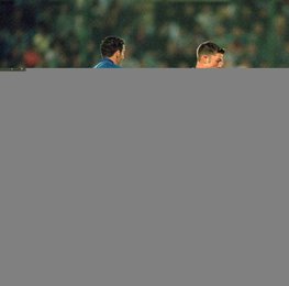 Image 454428995