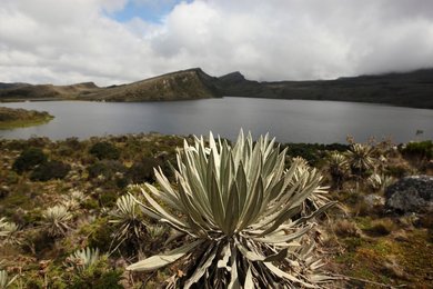 Image 454512599