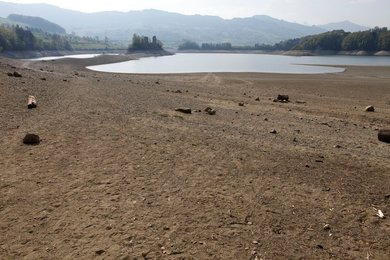 Image 454542520