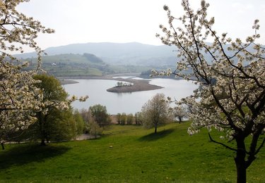 Image 454542527