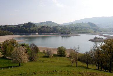 Image 454542536