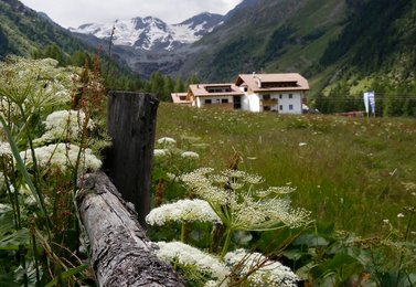 Image 454566176