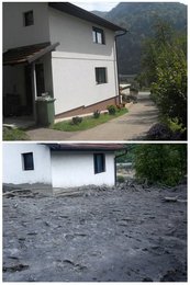 Image 454599132