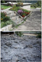 Image 454599135