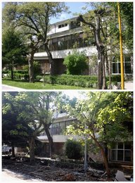 Image 454599156