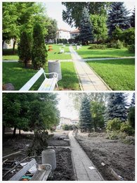 Image 454599199