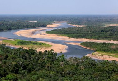 Image 454667657