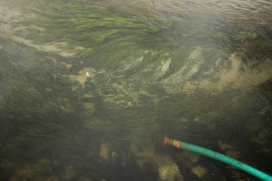 Image 454689730
