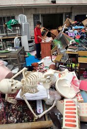 Image 454824861