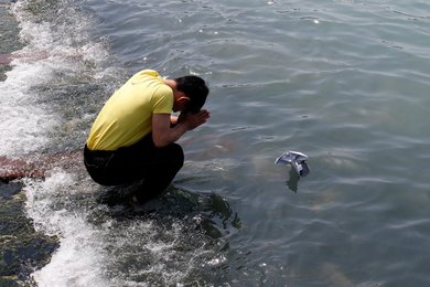 Image 455082086