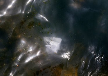 Image 455082194