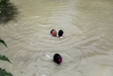 Image 455164389