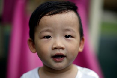 Image 455308263